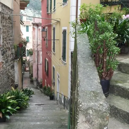 In Tipico Carugio Ligure * Monterosso al Mare
